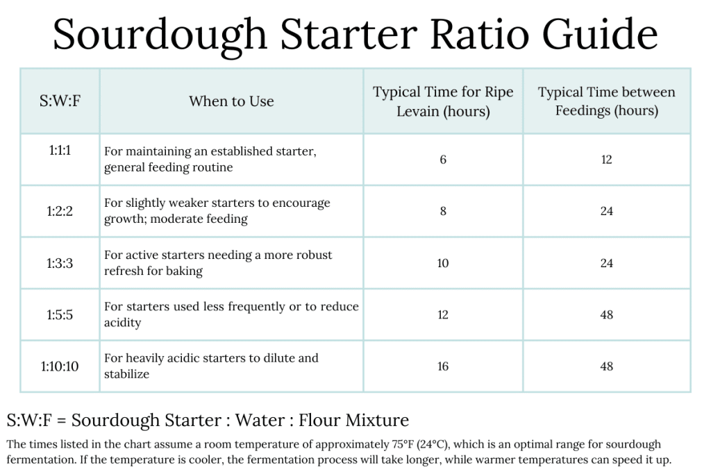 Sourdough Starter Ratio Guide