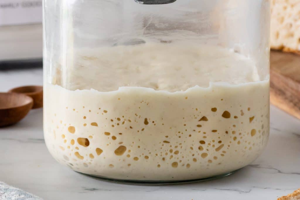 Sourdough Starter in a jar.