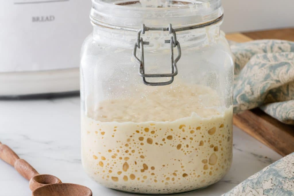 Sourdough Starter in a jar.