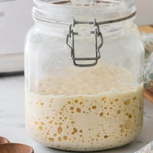 Sourdough Starter in a jar.