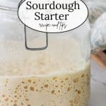 Jar of bubbly sourdough starter.