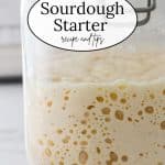 Jar of bubbly sourdough starter.