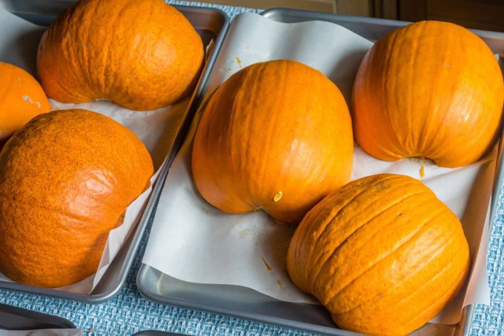 Pumpkin sliced and baked.