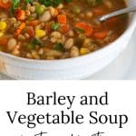 Bowl of Barley and Vegetable Soup