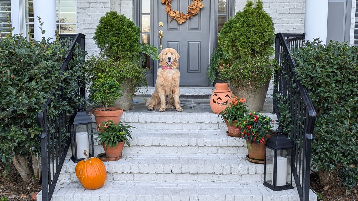 Elsa at front door.