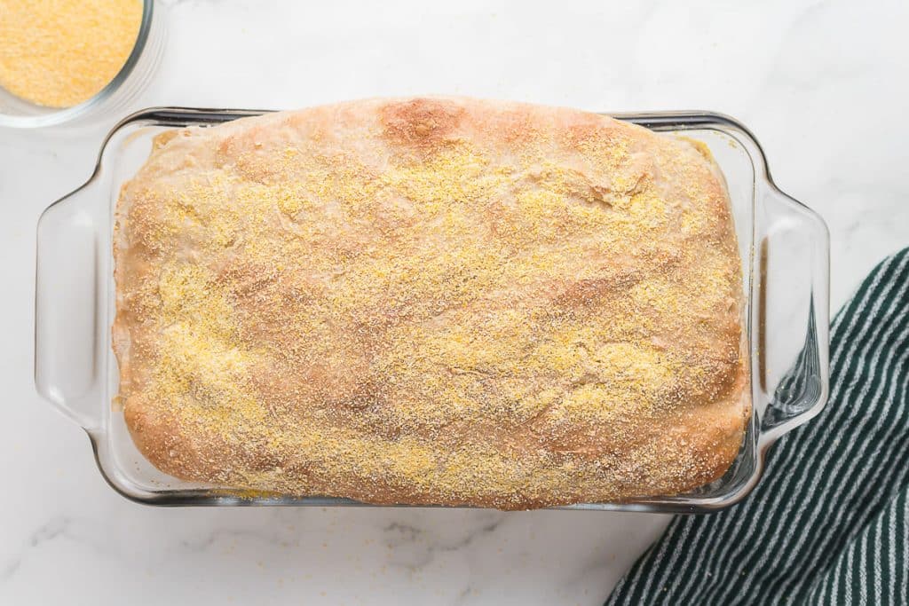 Baked Sourdough English Muffin Bread.