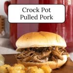 A barbecued pulled pork sandwich with a pot of pulled pork in the background.