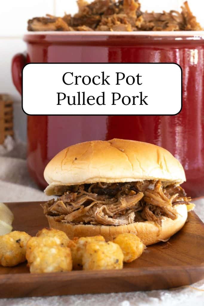 A barbecued pulled pork sandwich with a pot of pulled pork in the background.