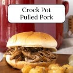 A barbecued pulled pork sandwich with a pot of pulled pork in the background.