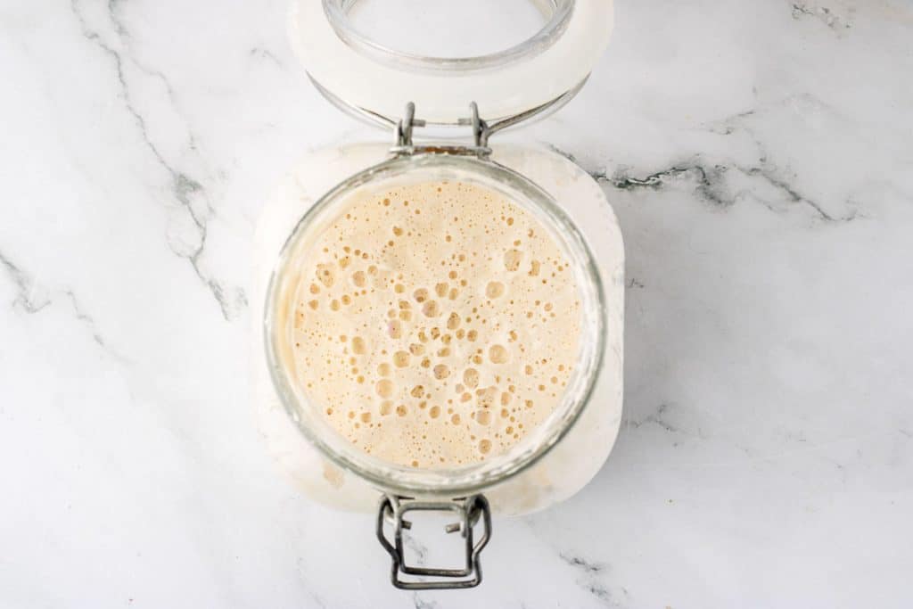 Sourdough Starter