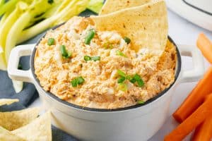 Slow Cooker Buffalo Chicken Dip Recipe · Nourish and Nestle