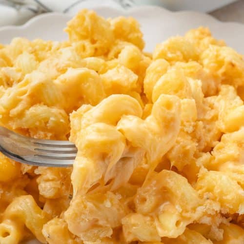 mac and cheese with a fork.