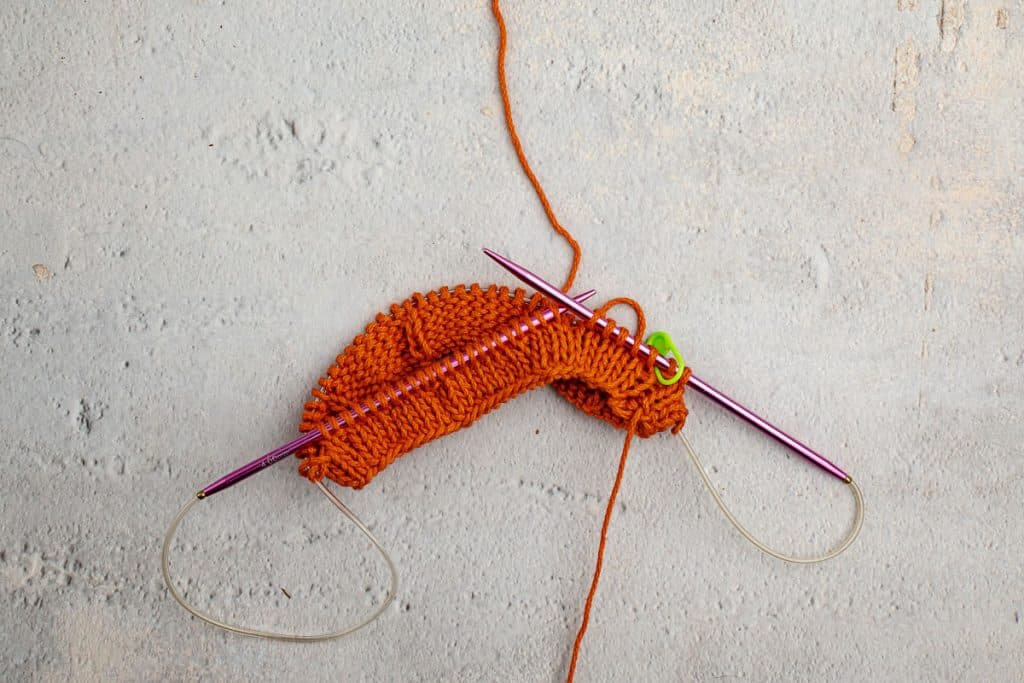 beginning of pumpkin.