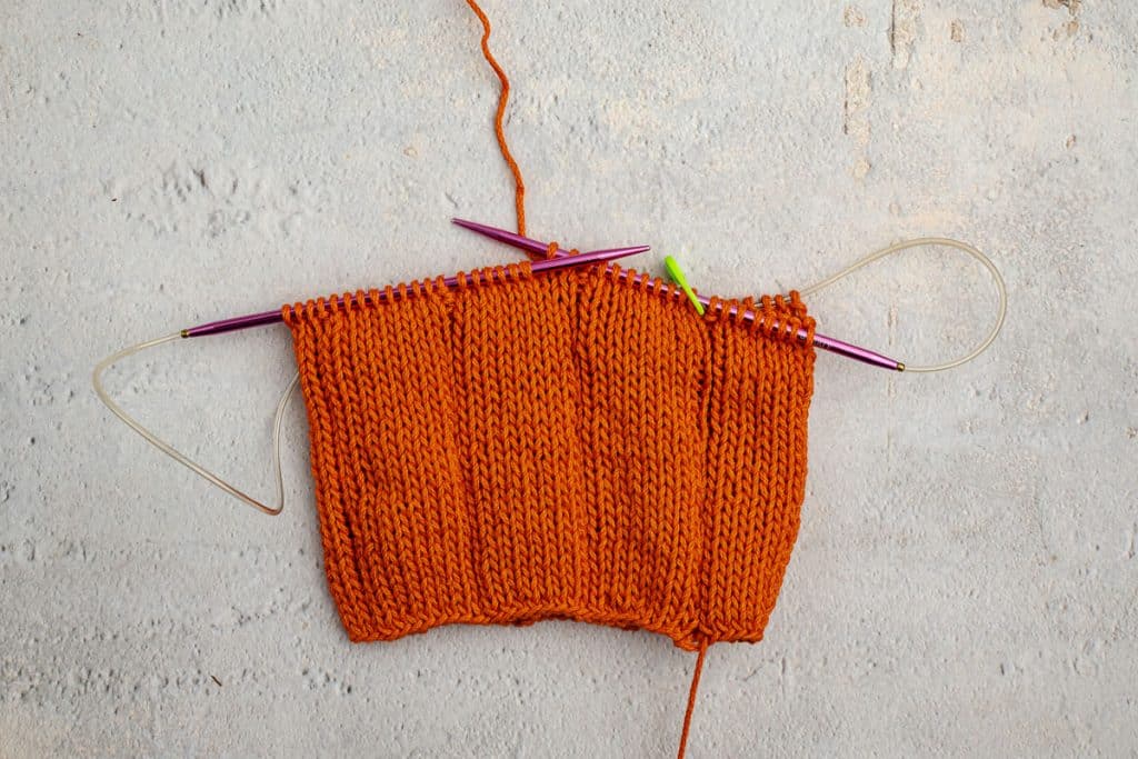 beginning of pumpkin.