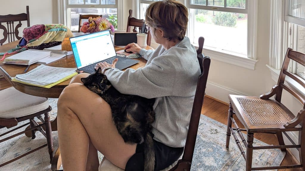 cat on a woman's lap