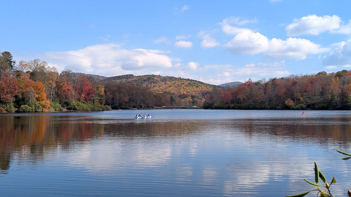 pond with changing leaves