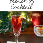 Cranberry French 75 Cocktail