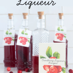 Homemade Cranberry Liqueur in bottles.