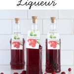 Homemade Cranberry Liqueur in bottles.