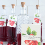 Homemade Cranberry Liqueur in bottles.
