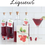 Homemade Cranberry Liqueur in bottles.