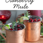 Spiced Cranberry Mule