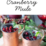 Spiced Cranberry Mule