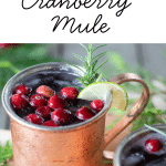 Spiced Cranberry Mule