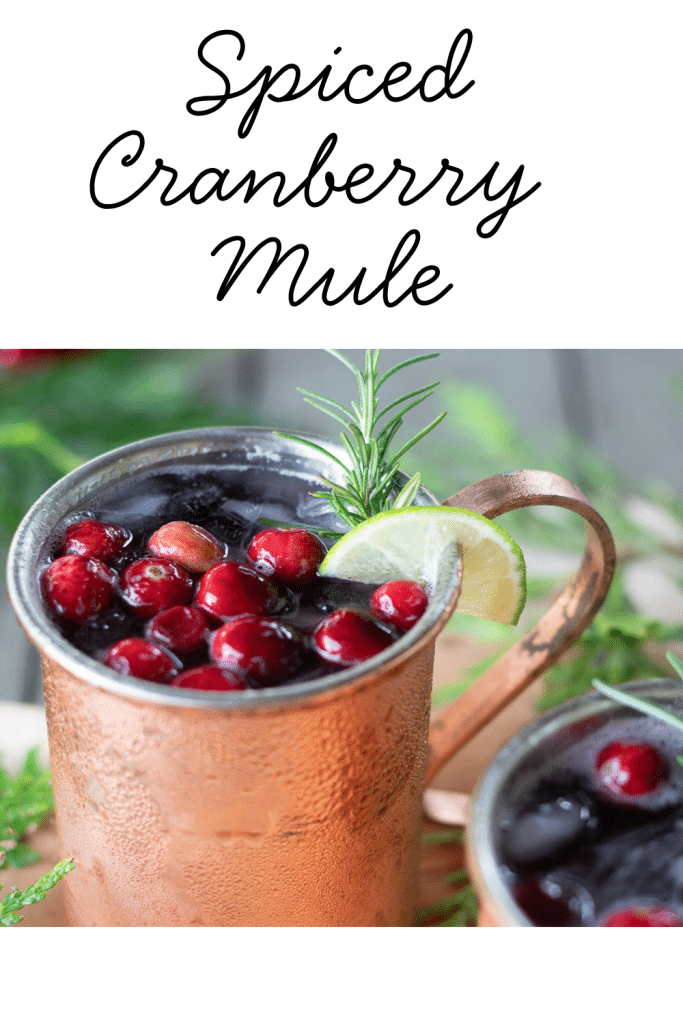 Spiced Cranberry Mule