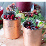 Spiced Cranberry Mule