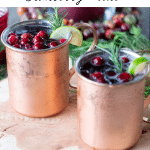 Spiced Cranberry Mule