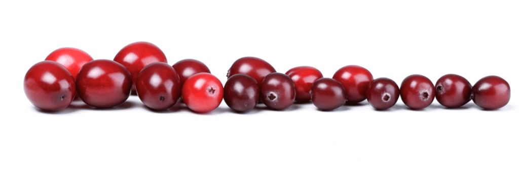a row of cranberries.