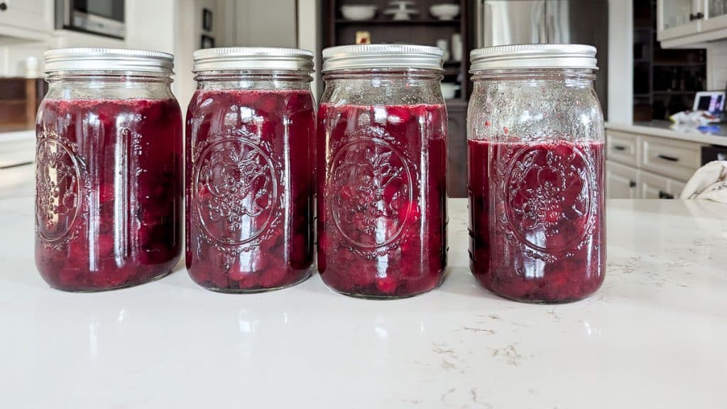 four quart jars holding macerating cranberries.