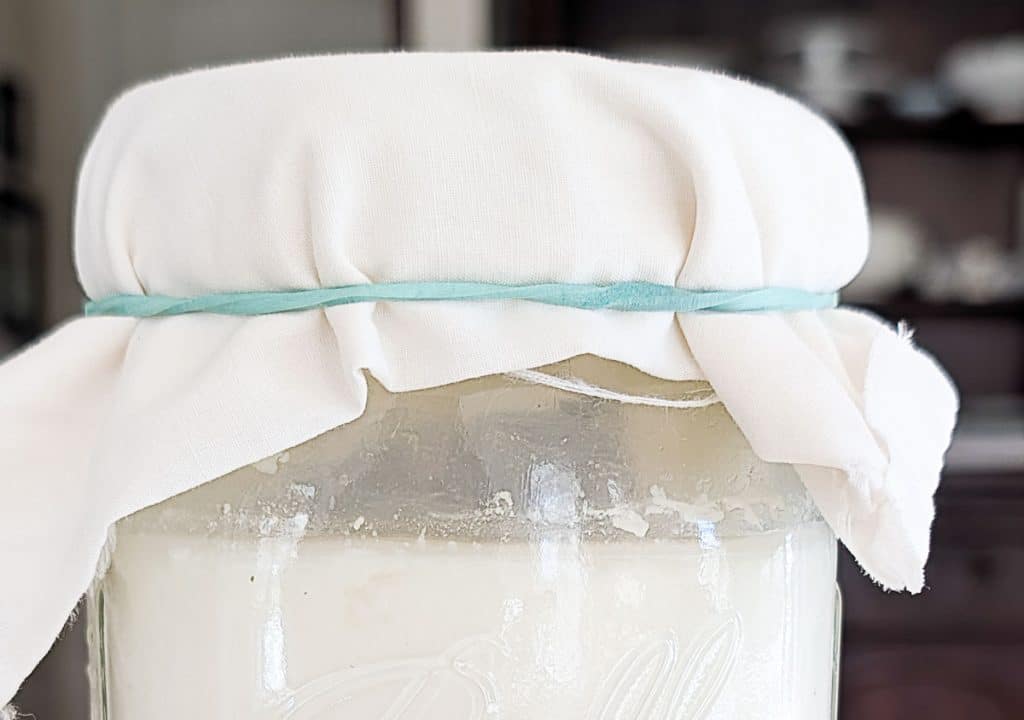 Jar of kefir with cloth cover.