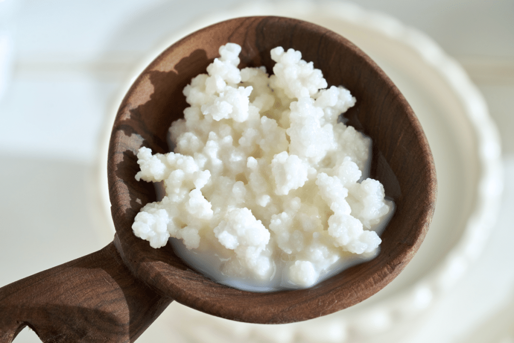 milk kefir grains