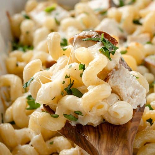 Chicken Alfredo Pasta Bake.