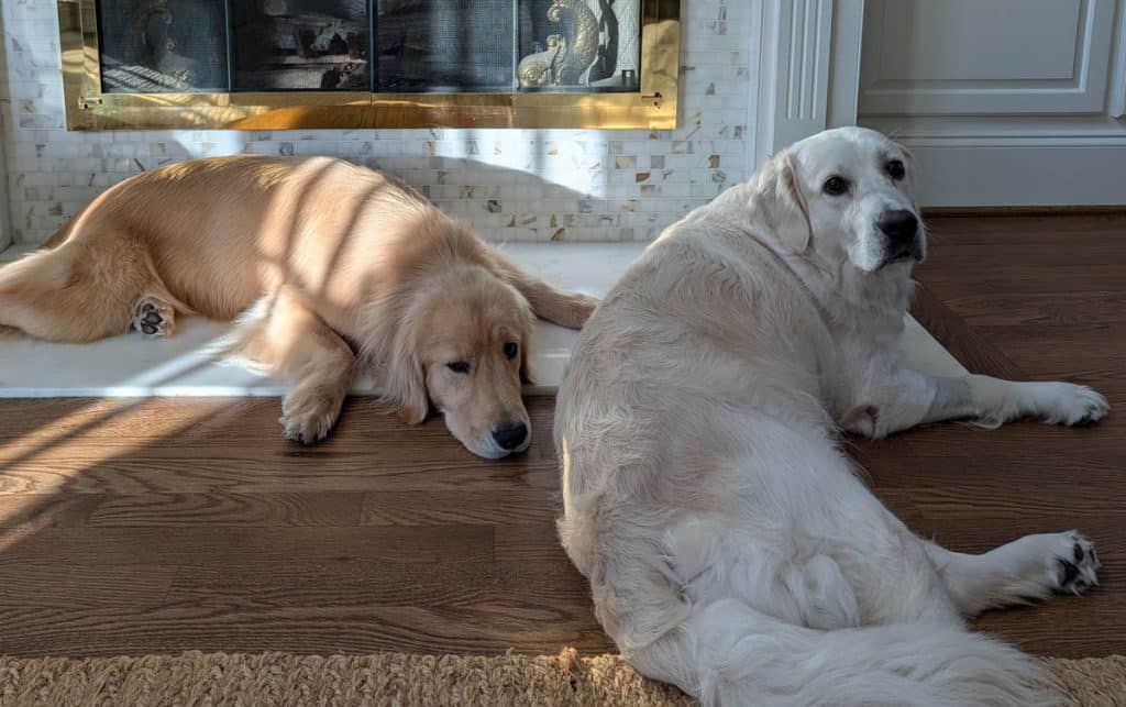 Elsa and June