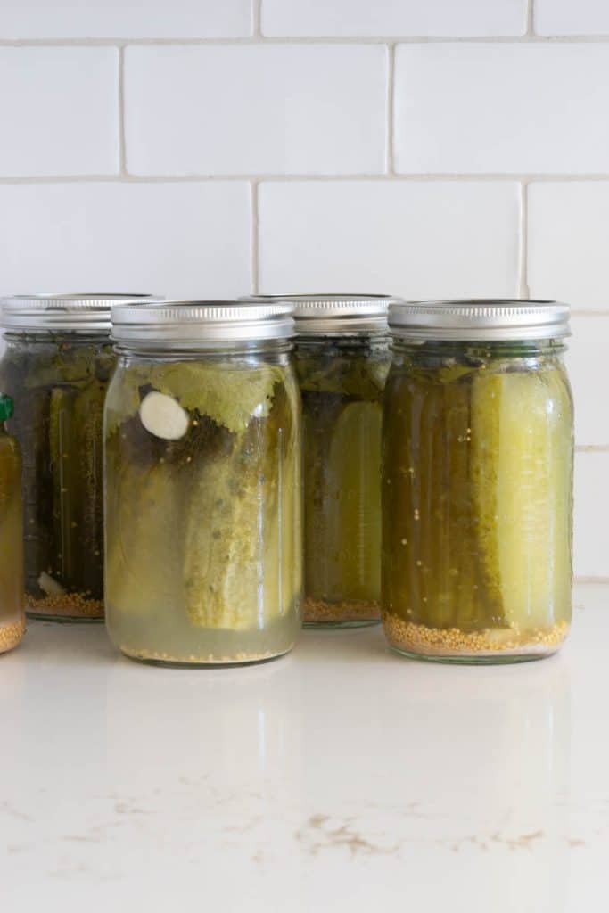 Jars of Fermented Dill Pickles