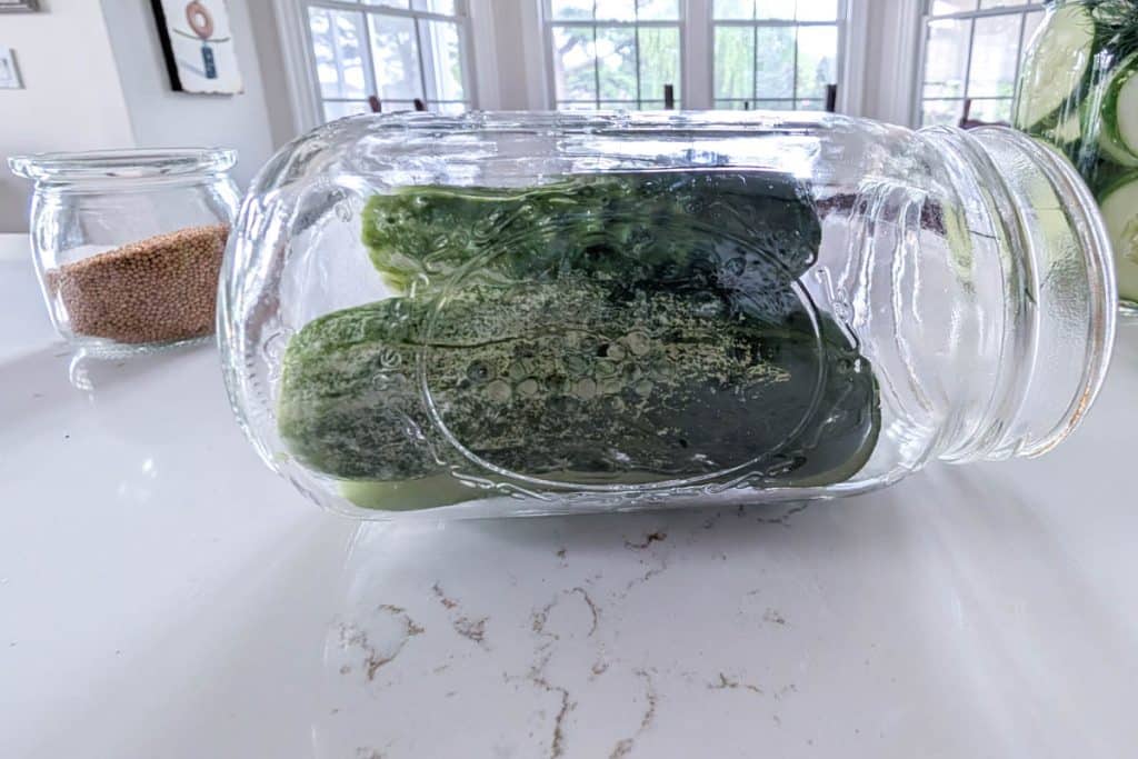 Pickles in a jar.