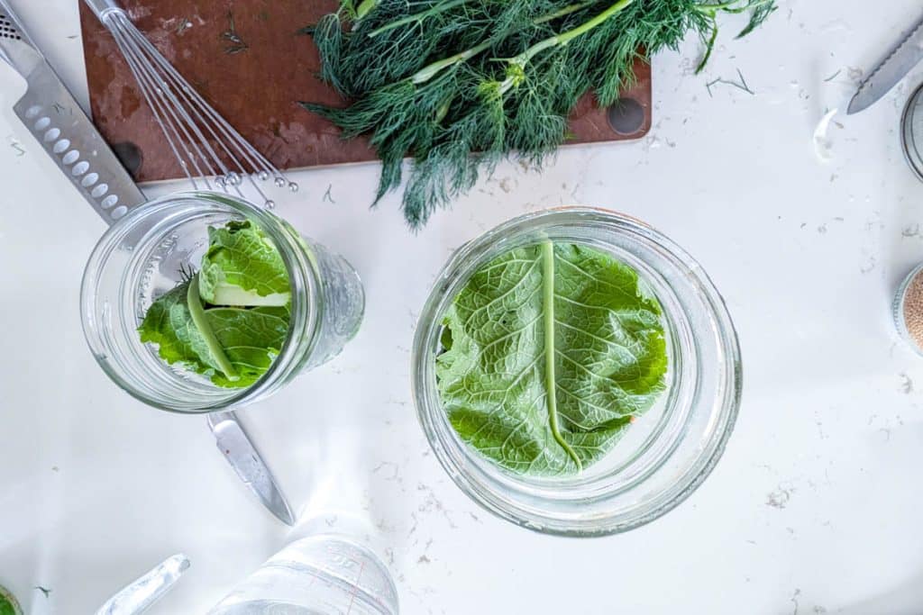 Horseradish leaf on jar of fermented pickles.
