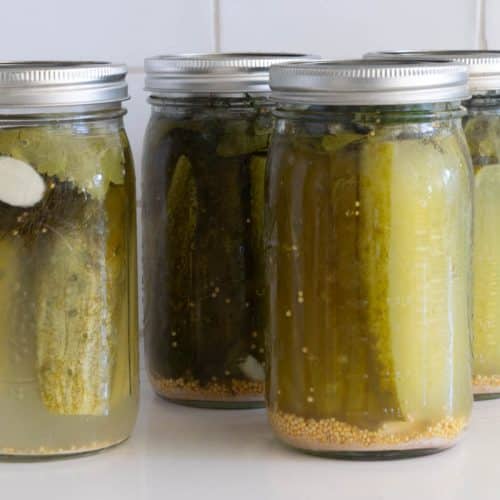 Jars of Fermented Dill Pickles