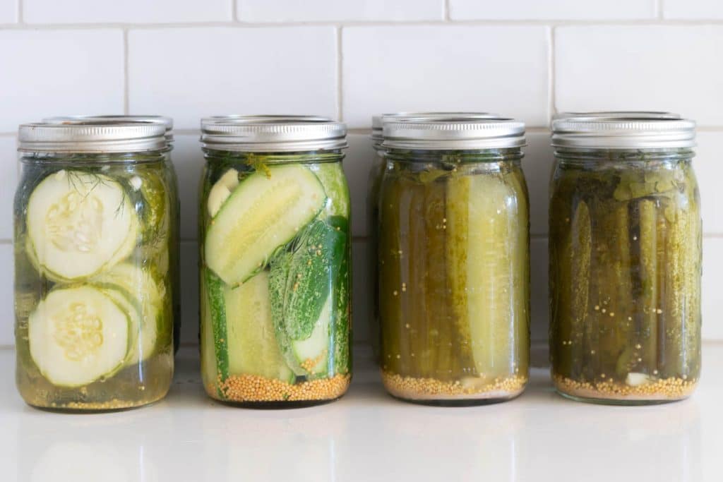 Comparison of Refrigerator and Fermented pickles.