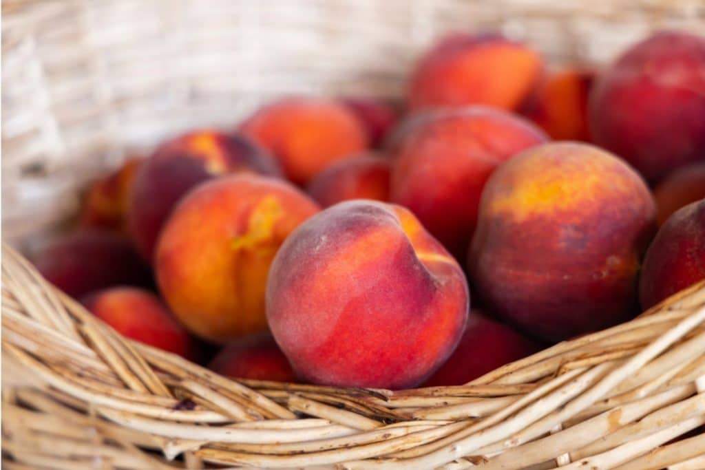 basket of peaches